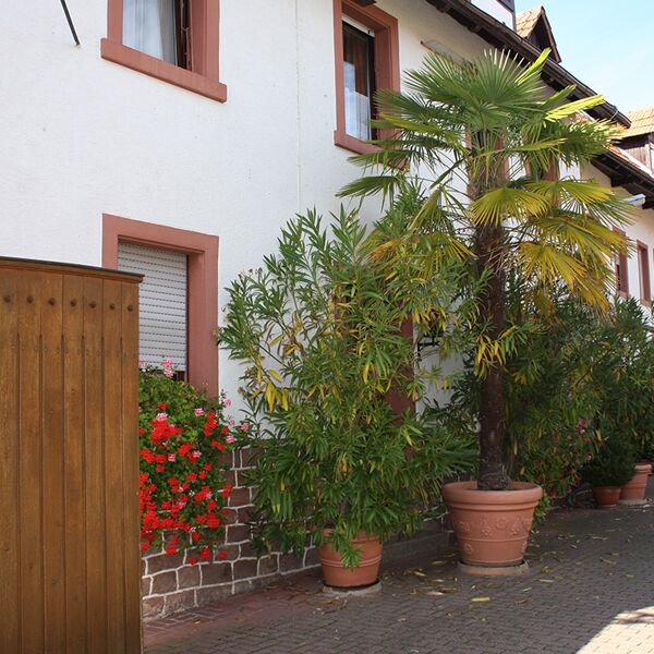 Hofeinfahrt zum Weingut Breitling & Walter